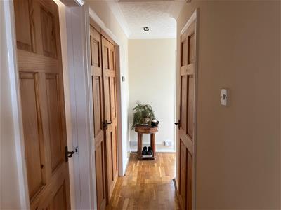Picture 7